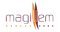 Magillem systems